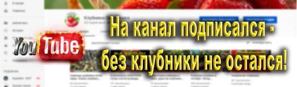 баннер 3 (1)